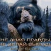 Виталий Викторович Шадчин, стаж 5 лет