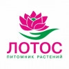 Анна Алексеевна Кучина, стаж менее 1 года