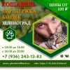 Сергей Николаевич В., стаж 3 года