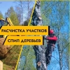 ООО Дем-благ, стаж 5 лет