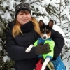 Дрессировка собак, кинолог, воспитание собак, стаж 10 лет