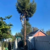 Исполнитель №306195, стаж 20 лет