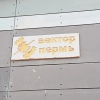 Вектор, стаж 3 года