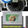 Исполнитель №34397, стаж 10 лет