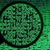 Исполнитель №34425, стаж 15 лет