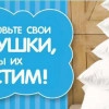Исполнитель №36095, стаж более 30 лет