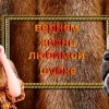 Исполнитель №36418, стаж 3 года