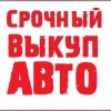 Исполнитель №38560, стаж 5 лет