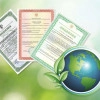 Исполнитель №38619, стаж 4 года