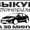 Исполнитель №38643, стаж 2 года