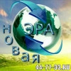 Исполнитель №39404, стаж 1 год