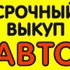 Исполнитель №40343, стаж 4 года