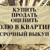 Исполнитель №41156, стаж 4 года