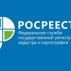 Исполнитель №41336, стаж более 30 лет