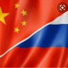 Исполнитель №42740, стаж 25 лет