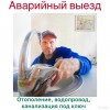 Исполнитель №43130, стаж 4 года