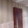Исполнитель №43622, стаж 5 лет