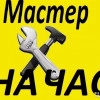 Исполнитель №44155, стаж 2 года