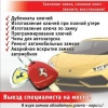 Исполнитель №44938, стаж 10 лет