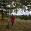 Исполнитель №45052, стаж 15 лет