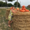 Исполнитель №45788, стаж менее 1 года