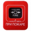 Исполнитель №55553, стаж 5 лет