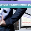 Исполнитель №55564, стаж 1 год