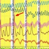 Исполнитель №55694, стаж 10 лет