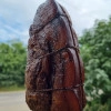 Исполнитель №56245, стаж 30 лет