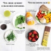 Исполнитель №56277, стаж 2 года