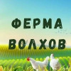 Исполнитель №57234, стаж более 30 лет