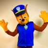 Исполнитель №57962, стаж более 30 лет