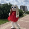 Исполнитель №58138, стаж 20 лет