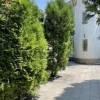 Исполнитель №58411, стаж 2 года