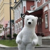 Исполнитель №58514, стаж 10 лет