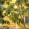 Исполнитель №59389, стаж 30 лет