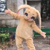 Исполнитель №60289, стаж 3 года