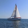 Исполнитель №61078, стаж менее 1 года