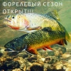 Исполнитель №61428, стаж более 30 лет