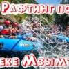 Исполнитель №61451, стаж 10 лет