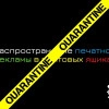 Исполнитель №62225, стаж 10 лет