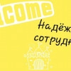 Исполнитель №62235, стаж 20 лет