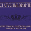 Исполнитель №63773, стаж 25 лет