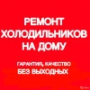 Исполнитель №65949, стаж 20 лет