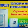 Исполнитель №65996, стаж 5 лет
