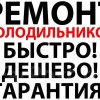 Исполнитель №66033, стаж 25 лет