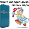 Исполнитель №66065, стаж менее 1 года