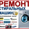 Исполнитель №66215, стаж менее 1 года