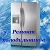Исполнитель №66291, стаж 20 лет