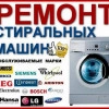 Исполнитель №66448, стаж 25 лет